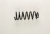 FIAT 46415567 Coil Spring